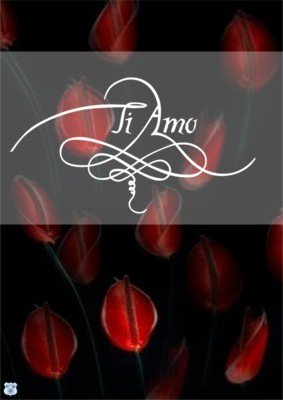 EU AMO-TE,TE AMO: